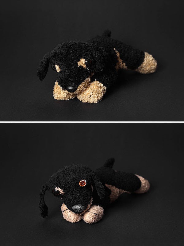 these-destroyed-stuffed-animals-have-been-snuggled-way-too-hard-photos