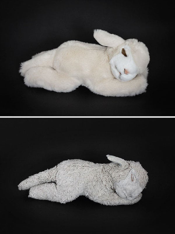 these-destroyed-stuffed-animals-have-been-snuggled-way-too-hard-photos