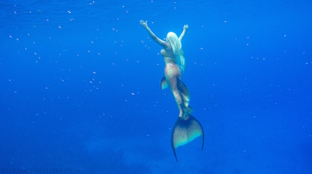 Professional Mermaid Gets To Swim With Wildlife In The ...