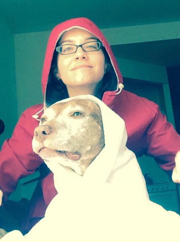 15-Year-Old Pit Bull Perfectly Poses To Recreate Iconic ... 15-Year-Old Pit Bull Perfectly Poses To Recreate Iconic ...