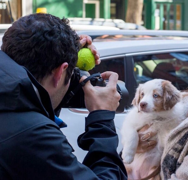 The Dogist Photographic Encounters with 1000 Dogs Epub-Ebook