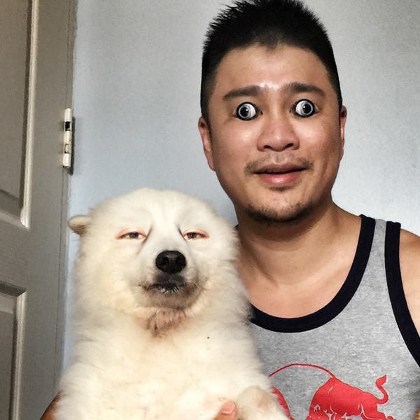 People Can T Stop Photoshopping This Pic Of A Very Confused Dog