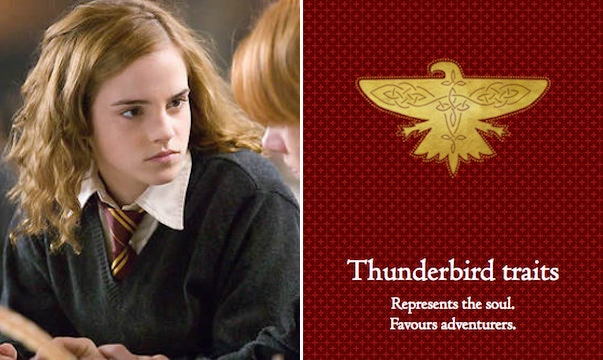 thunderbird harry potter hogwarts
