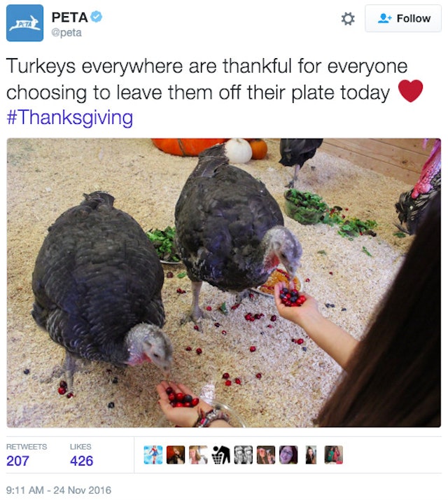 Peta Thanksgiving Turkey