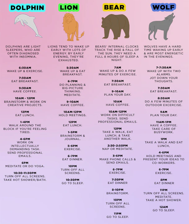 Sleep Pattern Types 4 Types Of Sleep Animals And What Yours Means