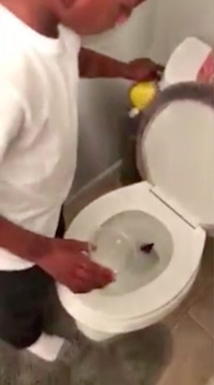 Boy Cries While Flushing Dead Fish Down Toilet In Viral Video
