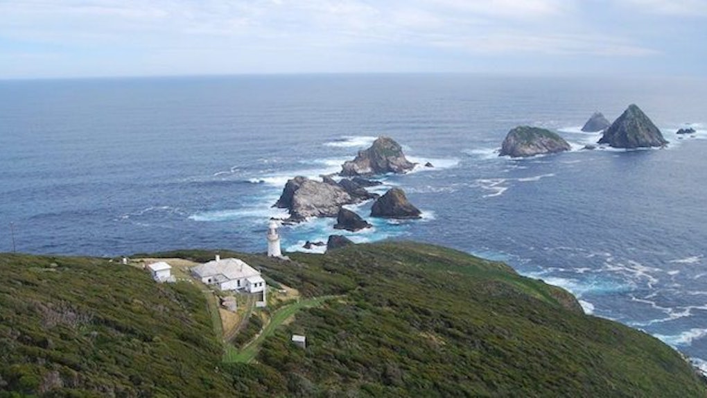 Https Www Elitedaily Com Entertainment Celebrity Trump