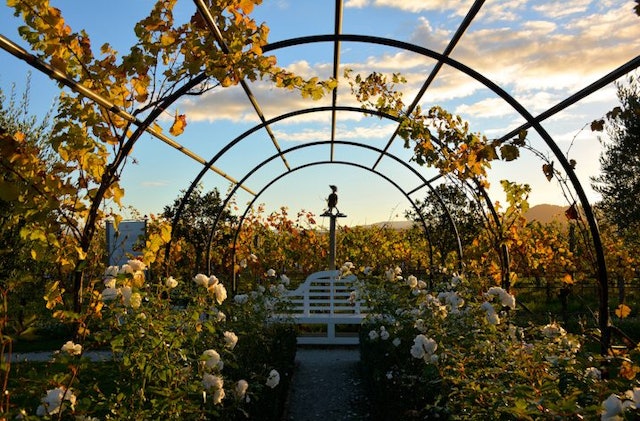 Herzog Wine Tours Price Herzog Wine Tours Price