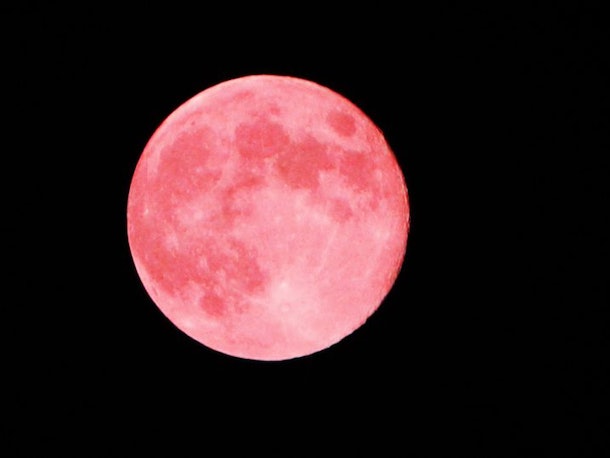Here S Best Time To See The Pink Moon In Sky Tomorrow Shutterstock