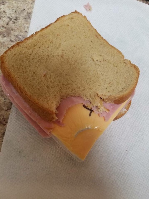 Wife Gets Revenge After Husband Calls Her Sandwich Maker
