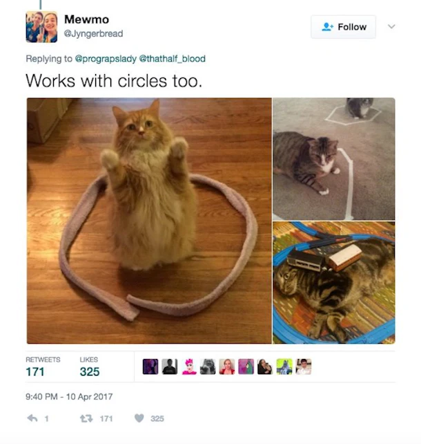 Cats Trick Owners Into Making Cozy Squares With Viral ‘Prank’