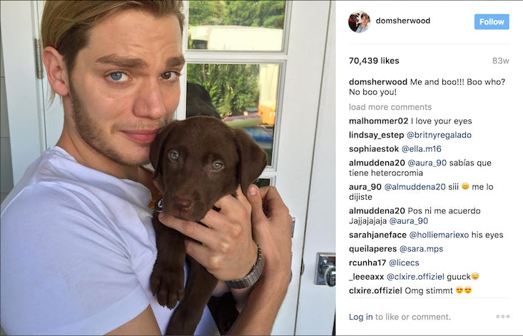 Dominic Sherwood Augen Dominic Sherwood Augen