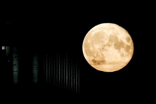 The Emotional Meaning Of The August 2020 New Moon Is All About Courage