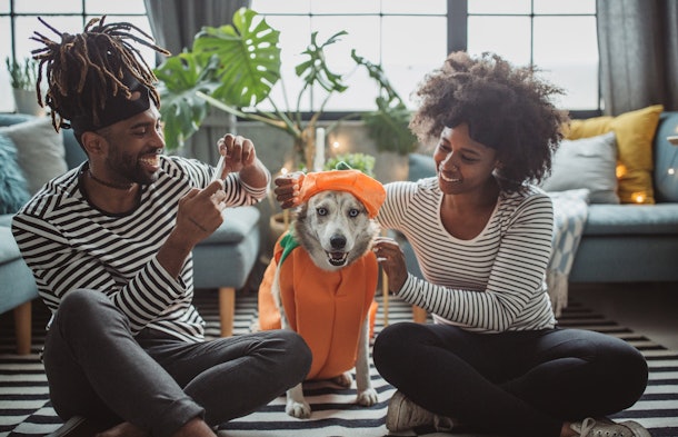 A couple puts a pumpkin costume on their dog for a Halloween photo together.