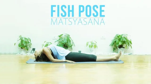 15+ Shoulder Stand Yoga With Adriene Yoga Poses
