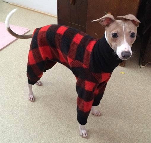 6 Dog Christmas Pajamas That Are Adorable & Essential For Cuddling