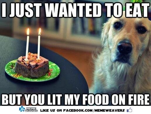 15 Funny Birthday Memes That Are So Accurate They Take The Cake