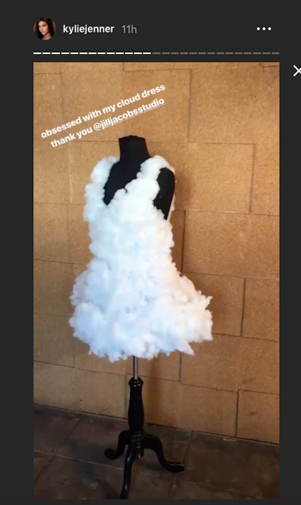 stormi halloween costume