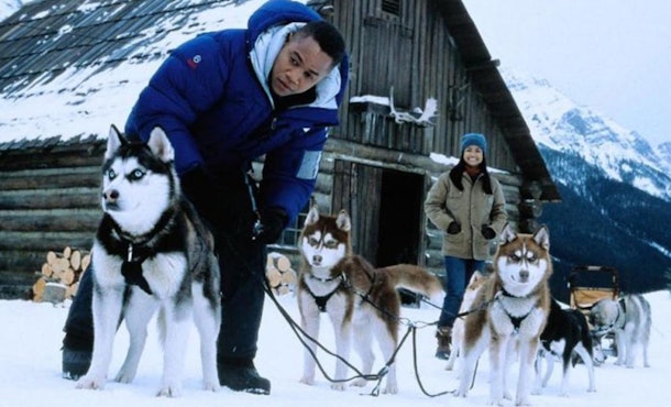 5 Christmas Movies On Showtime That Will Keep You In Your