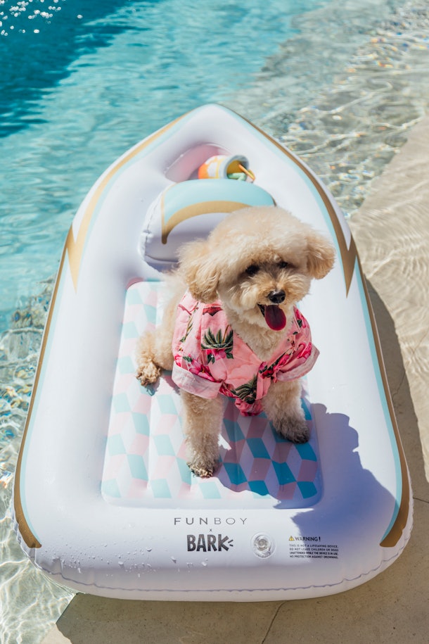 Funboy x Bark Pool Floats For You & Your Dog Are Adorable & I Want Them All