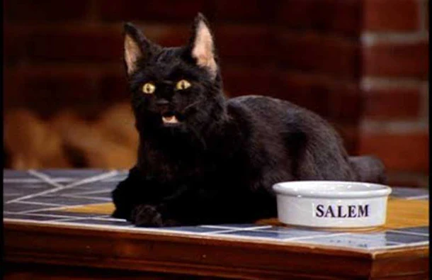 Is Salem In The Chilling Adventures Of Sabrina Don T Hold Your Breath For The Snarky Sidekick