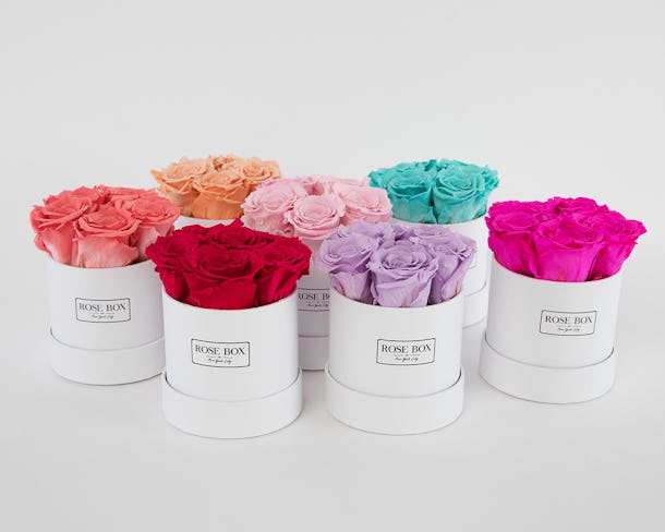 Roses pink box bronx bella flower Rose Box NYC Is The Most Insta-Worthy Trend That You Need To Know About