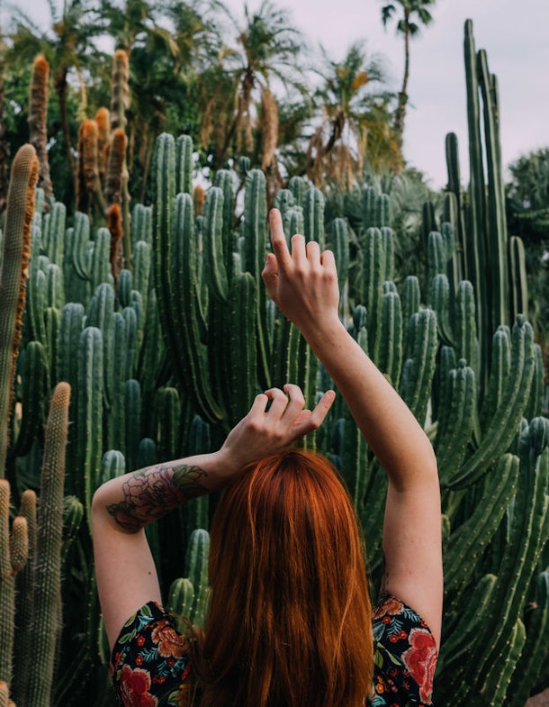 28 Instagram Captions For Succulents Growing Your Likes On The Gram