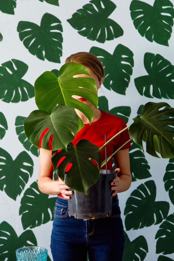 30 Instagram Captions For Flower Pots That Ll Instantly Brighten Up Your Feed