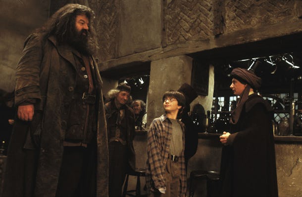 This 'Harry Potter' Theory About Hagrid Being A Death Eater Will Blow ...