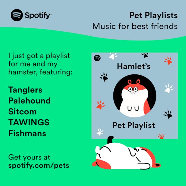 Spotify's New Pet Playlists Are Curated Mixes Your Fur Baby Will Love