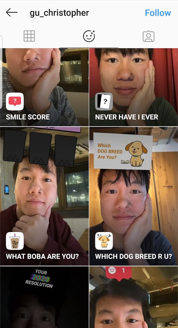 Here S How To Get The Which Dog Instagram Story Filter To Match With A Pup