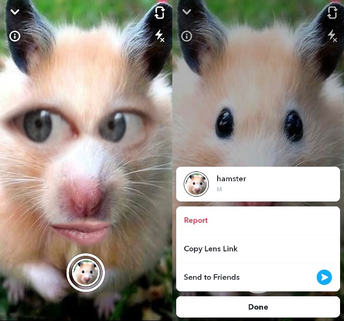 These 10 Animal Face Filters On Snapchat Will Liven Up Your Story ...