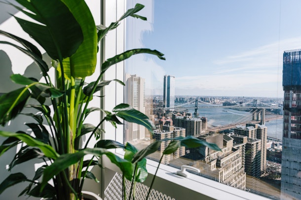 Here's How To Get West Elm Zoom Backgrounds For A Chic Video Call