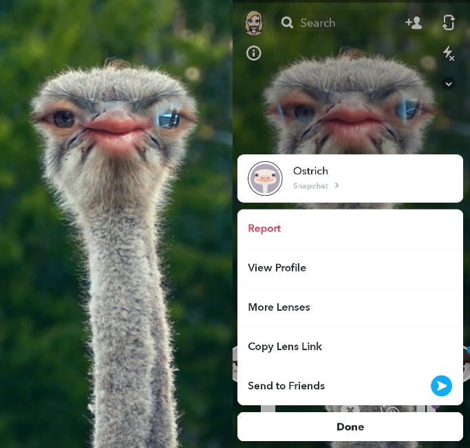These 10 Animal Face Filters On Snapchat Will Liven Up Your Story