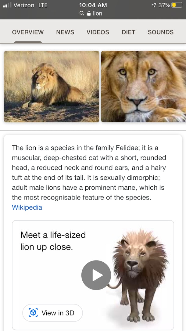 Here S How To Use Google S 3 D Animal Feature For A Virtual Zoo Visit