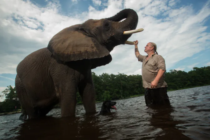 these 15 tiger king zoom backgrounds feature the whole cast of characters tiger king zoom backgrounds feature
