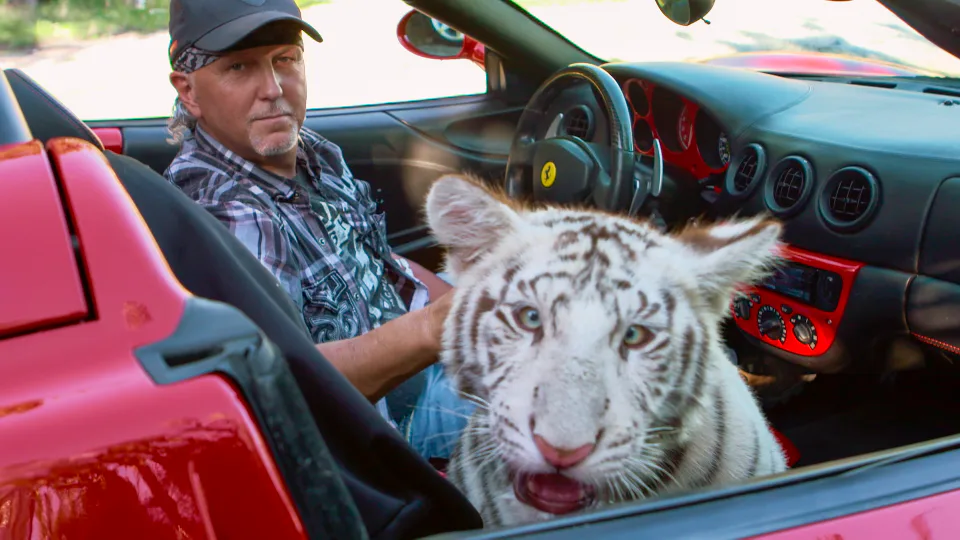 these 15 tiger king zoom backgrounds feature the whole cast of characters tiger king zoom backgrounds feature