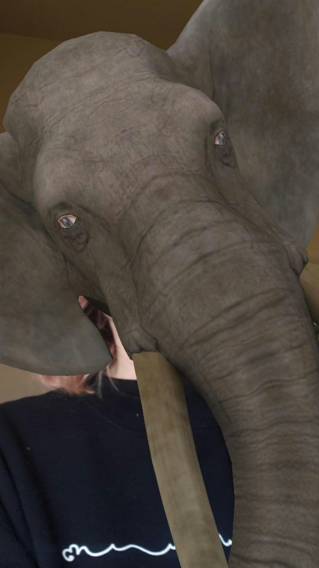 11 Best Animal Face Filters On Instagram For A Wild Change To Your Stories