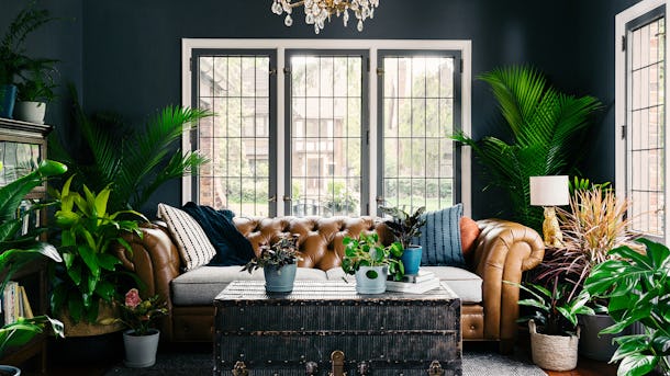 The 14 Best Zoom Home Backgrounds To Give Your Room A Virtual Makeover Better yet, download a few options, in case you want to switch them out. the 14 best zoom home backgrounds to