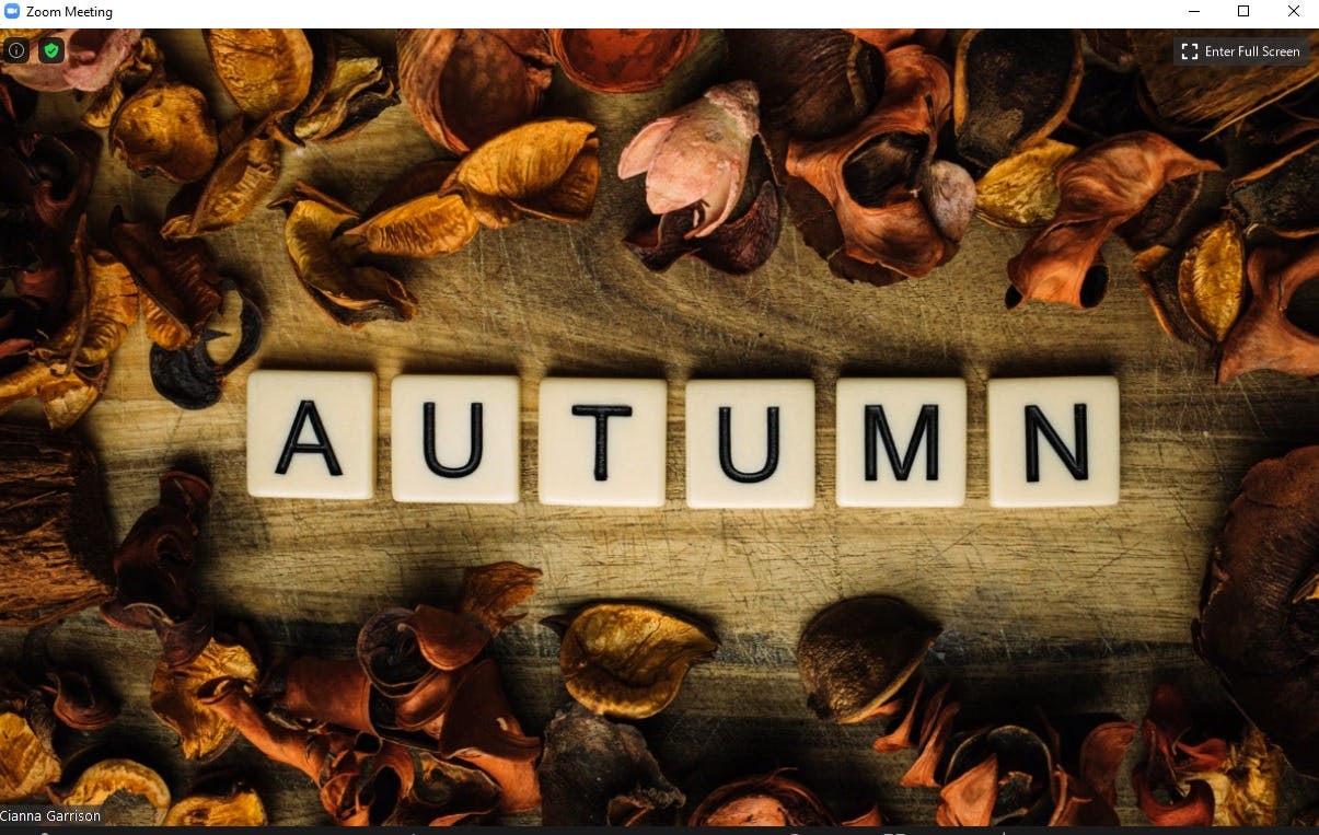 free fall virtual backgrounds for zoom