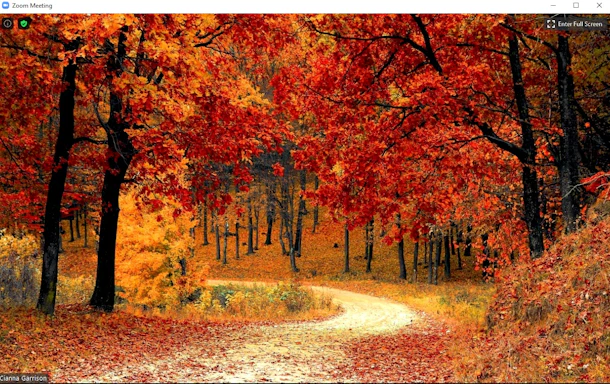 These 15 Fall Themed Zoom Backgrounds Will Have You Feeling Cozy