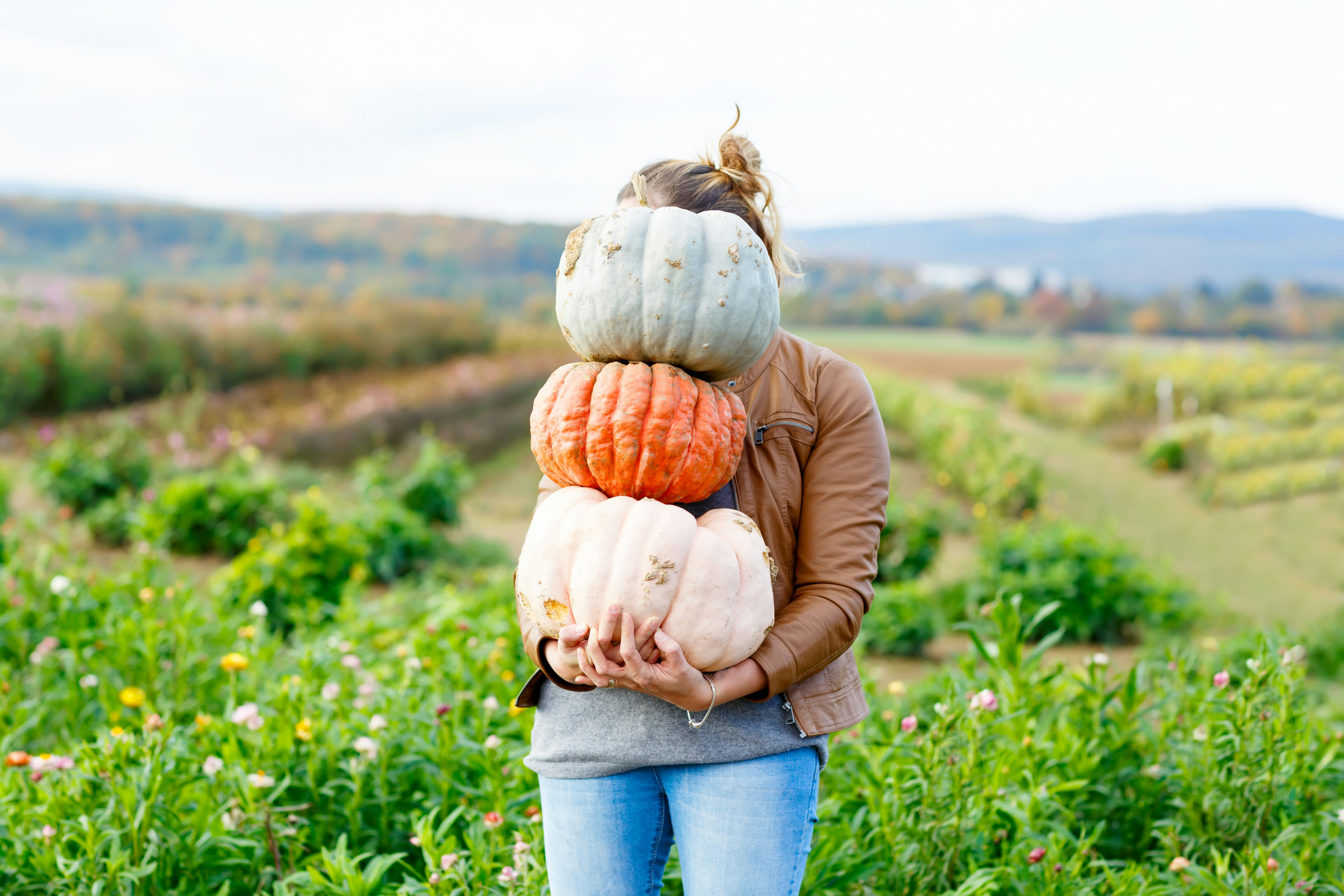 Fall Captions Apple Picking