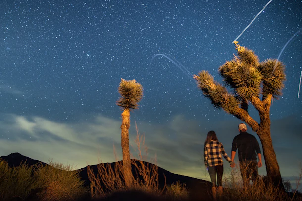A couple stargazes in Joshua Tree National Park, while holding hands.